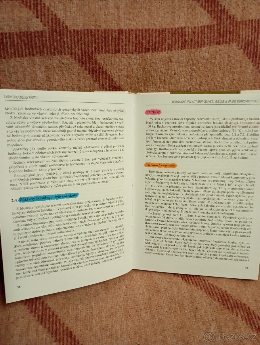 Chov dojeného skotu - 2