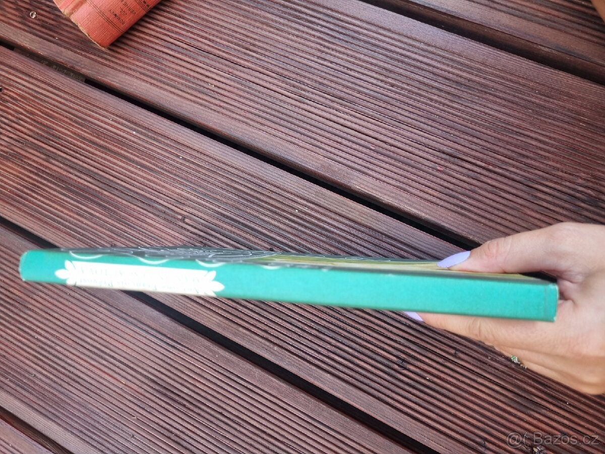 Kniha Manon Lescautová - 2