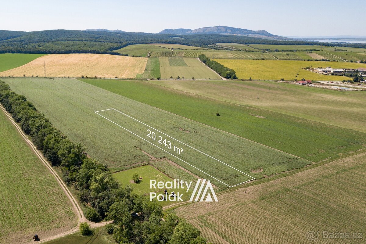 Prodej orná půda, 20 243 m² - Bulhary, ev.č. 25PP102 - 2