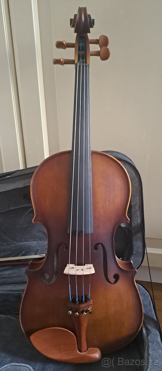 Viola - 2