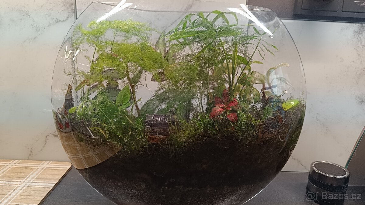 Mossarium - 2