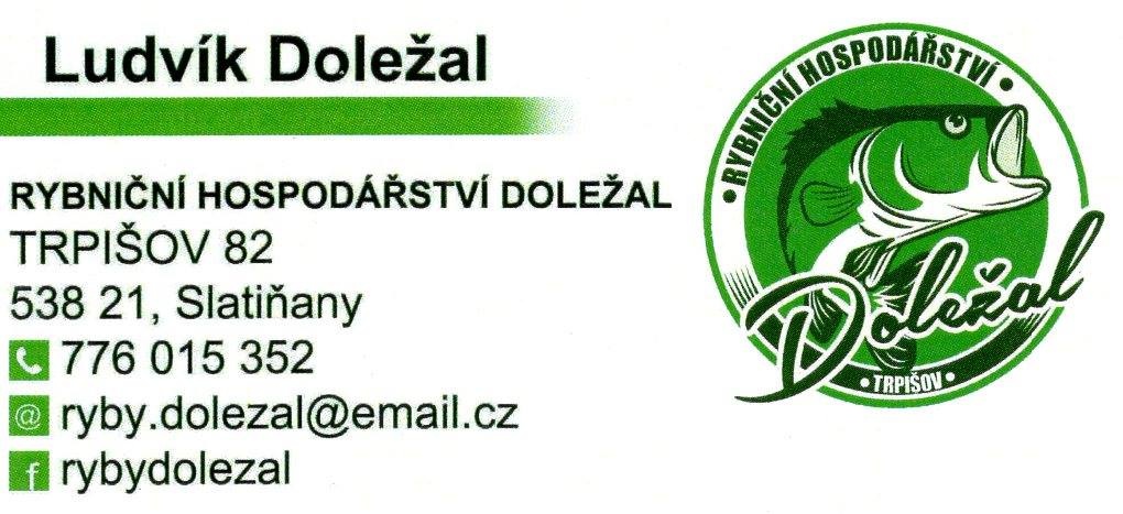 Kachna pižmová - 2