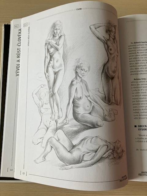 kniha Anatomie pro výtvarníky - 2