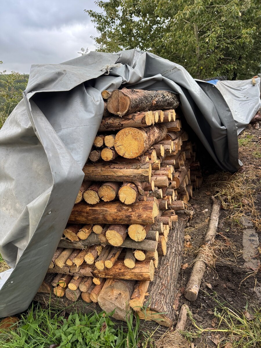 Palivové dřevo - 2