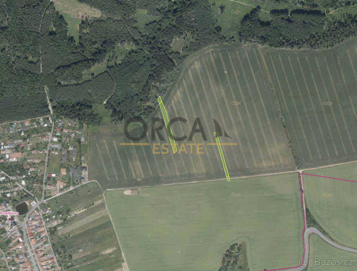 Prodej pole, Alojzov u Prostějova, 5248 m² - 2