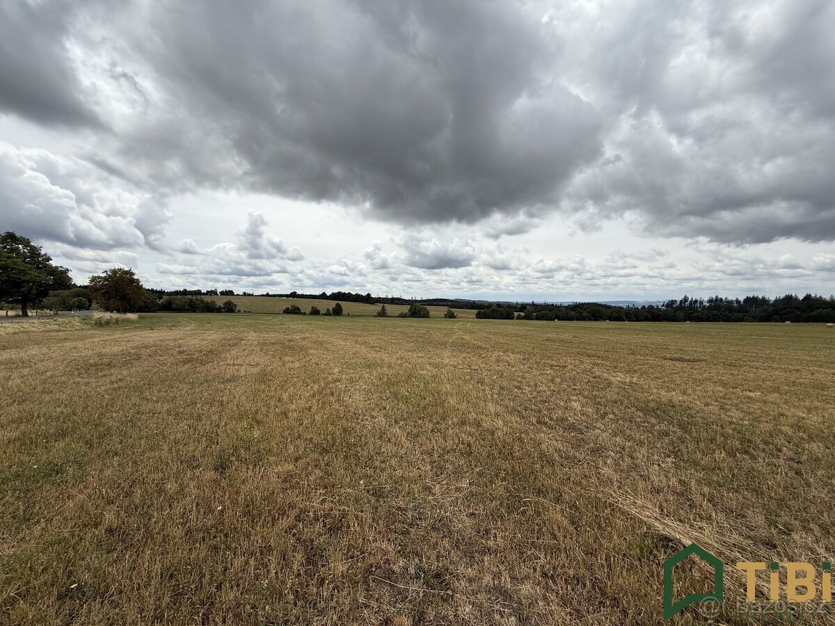 Prodej pole 2 000 m², Suchý, ev.č. 00302 - 2