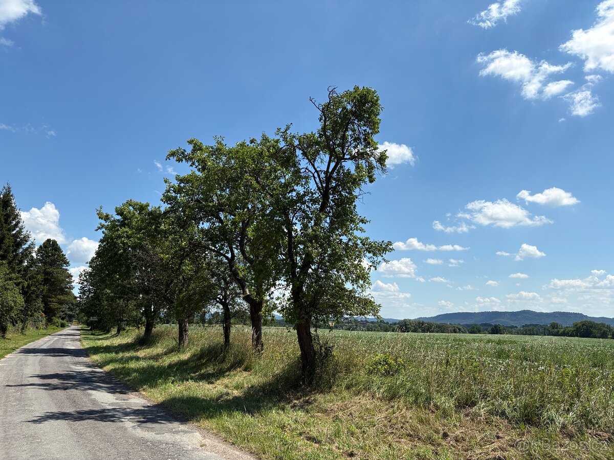 Stavební pozemek na okraji obce 5604 m² – pohled 2