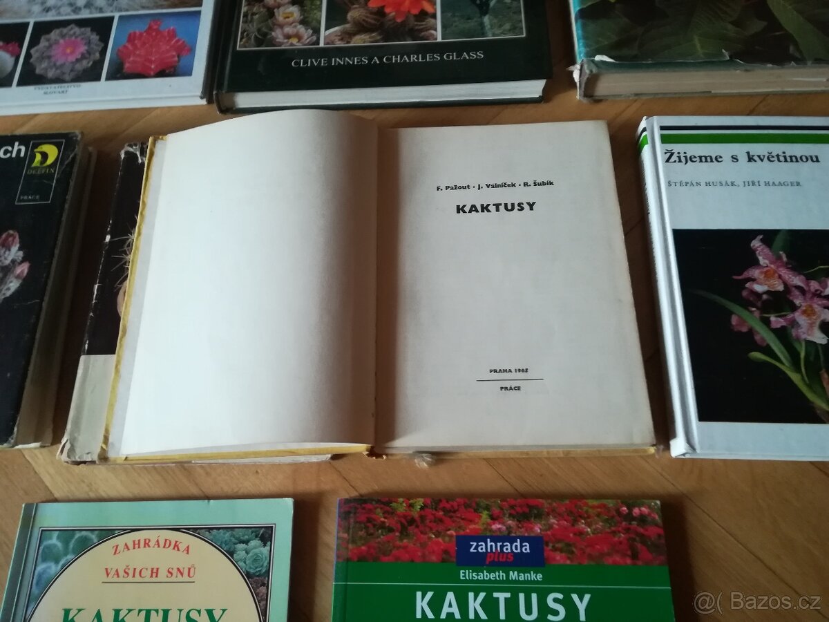 Knihy o Kaktusech - 2