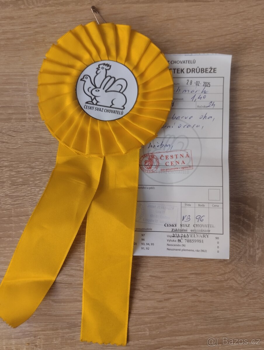 Zdrobnělá Brahmánka kohout - 2