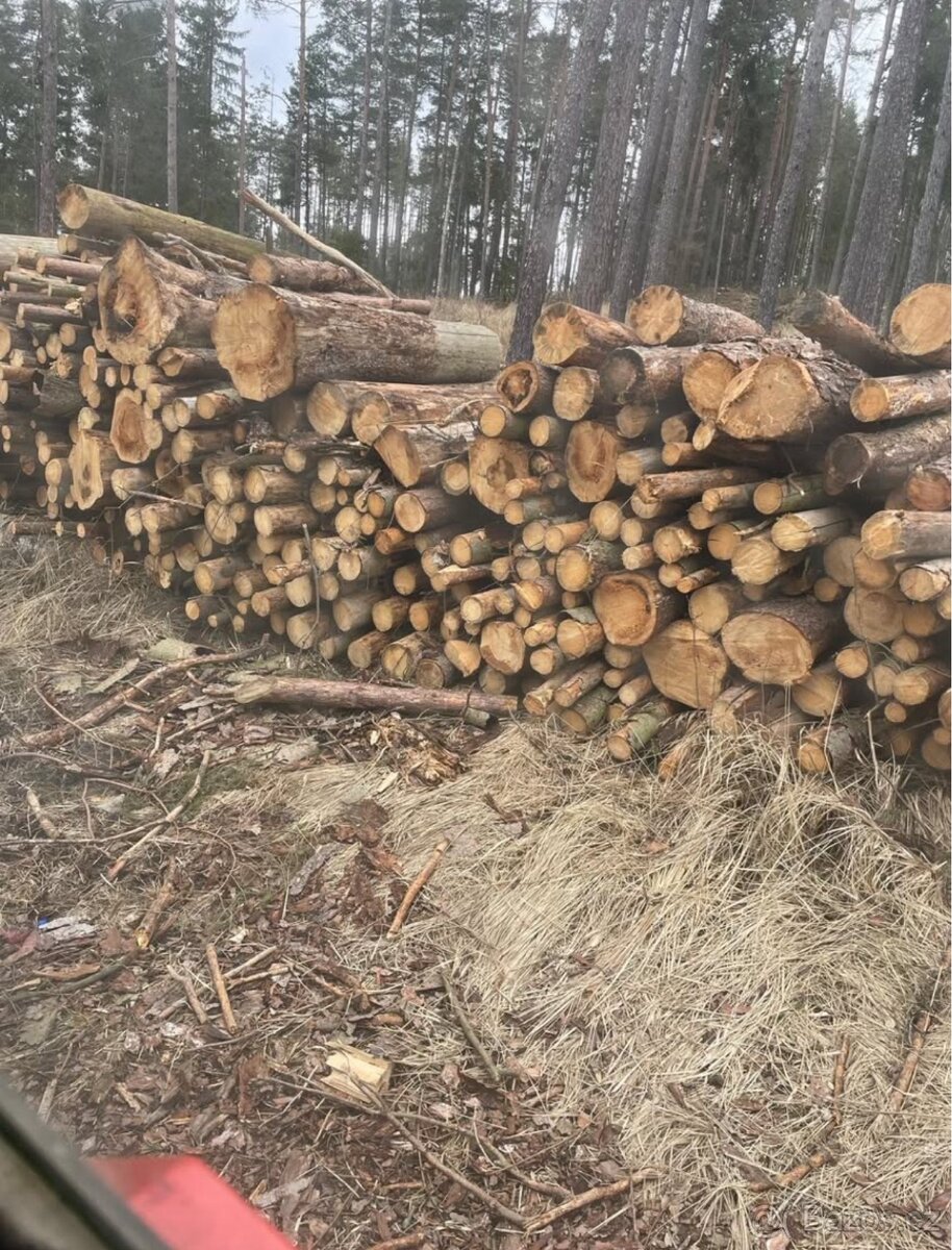 Palivové dřevo - 2