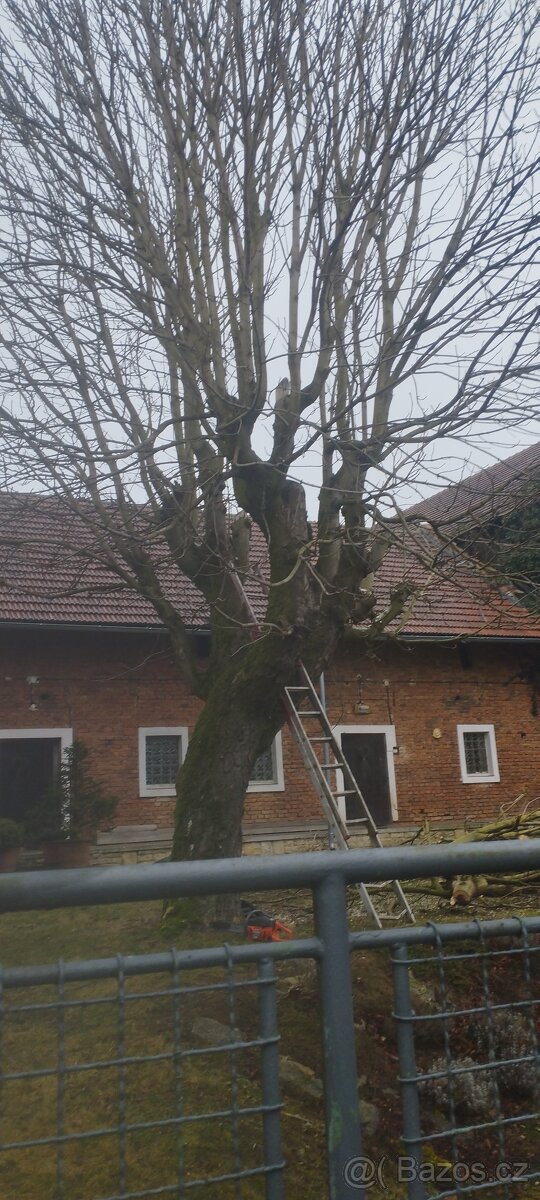 Mulčovací kůra stepka - 2