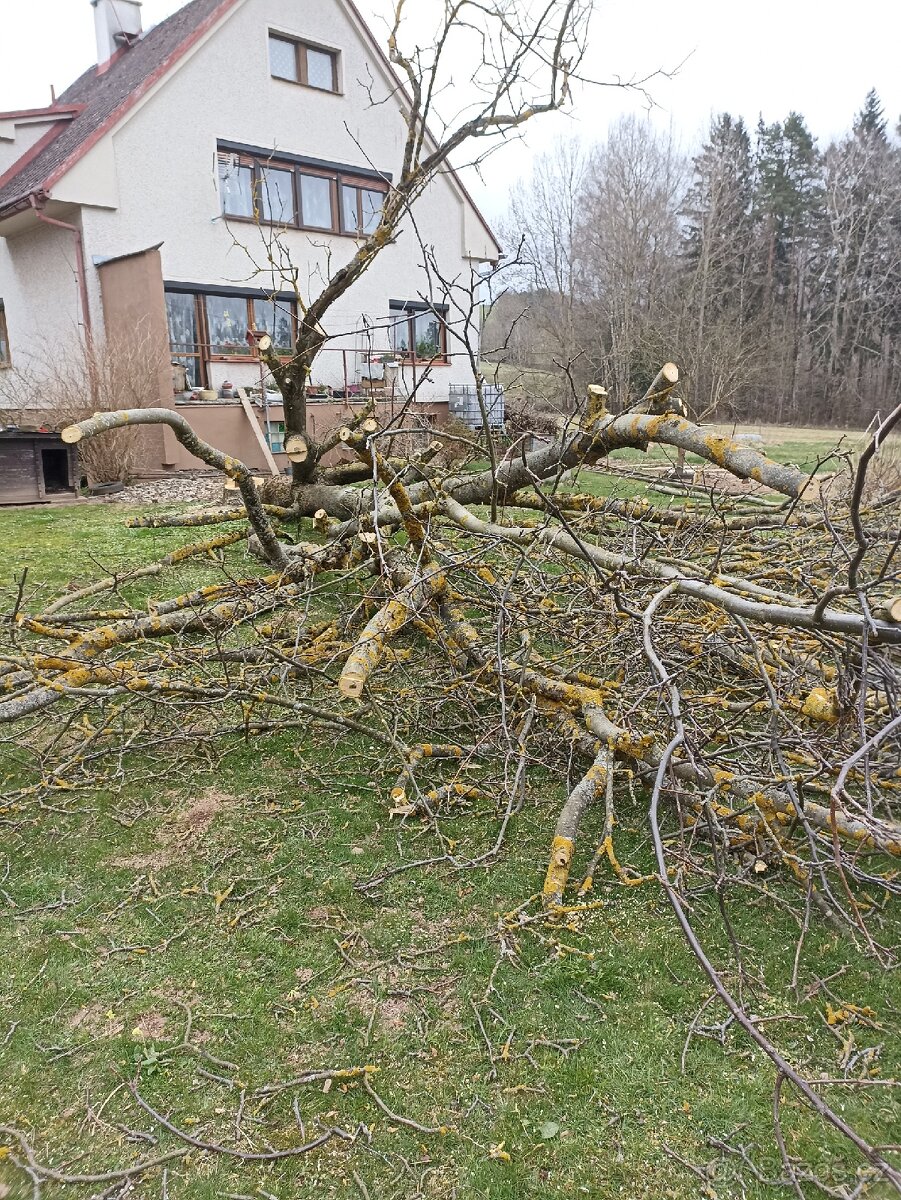 Dřevo - 2
