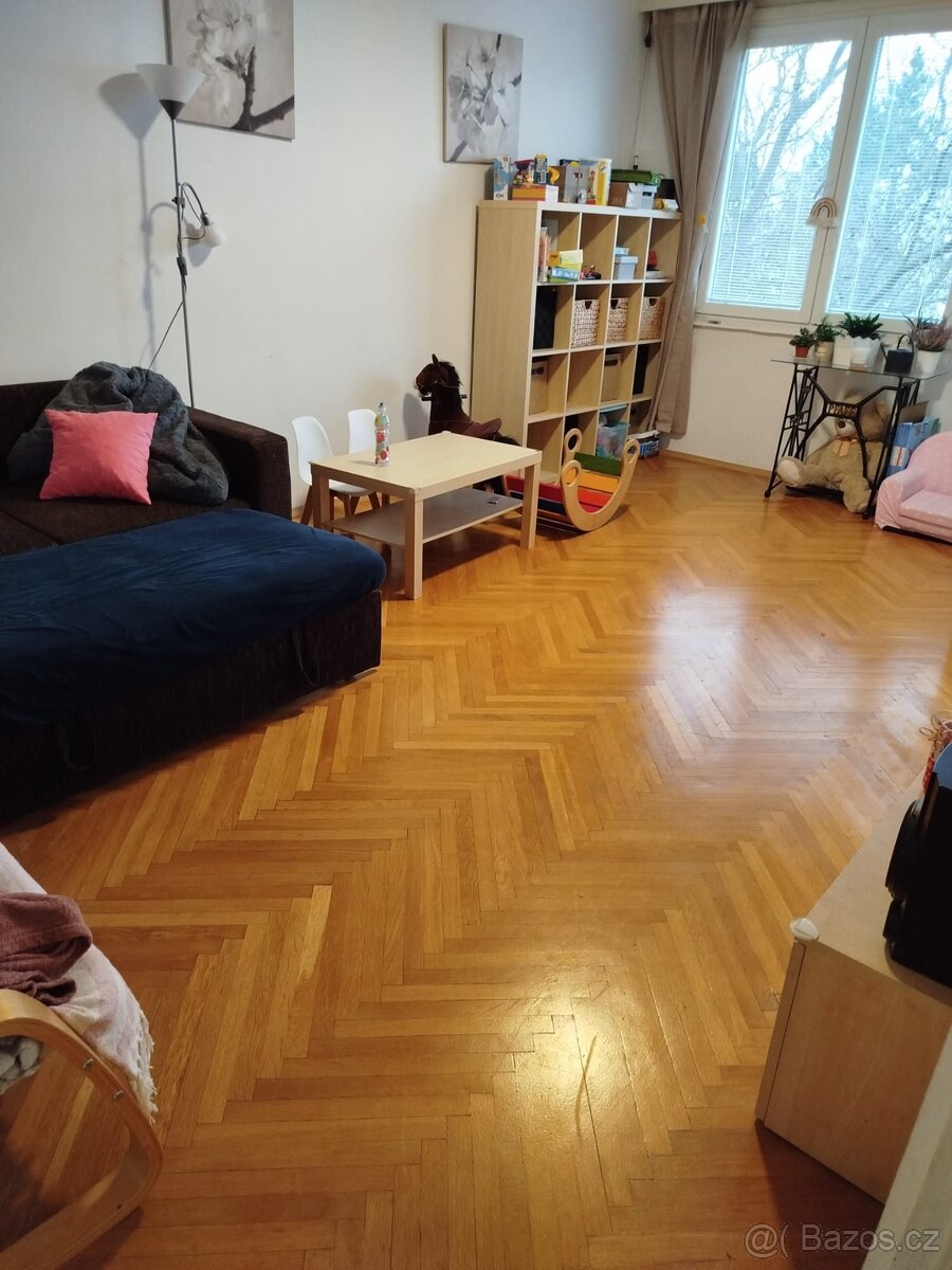 Pronajmu byt 2+1 po rekonstrukci Suché Vrbné - 2