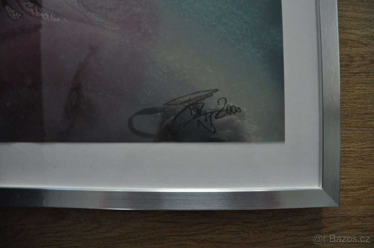 Malíř Bob Hochman Bohumír - 2