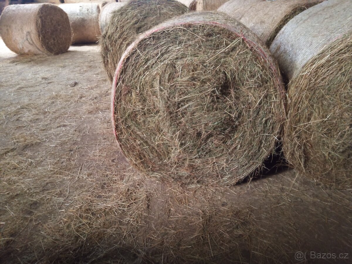 Prodej sena - 2