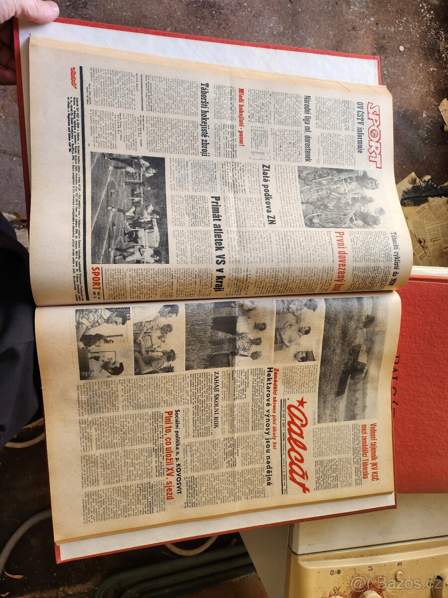 Palcát noviny - 2