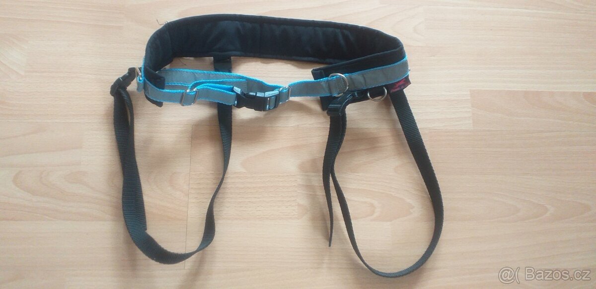 postroj pro psa a pro kočku a batoh pro psy a kočky - 2