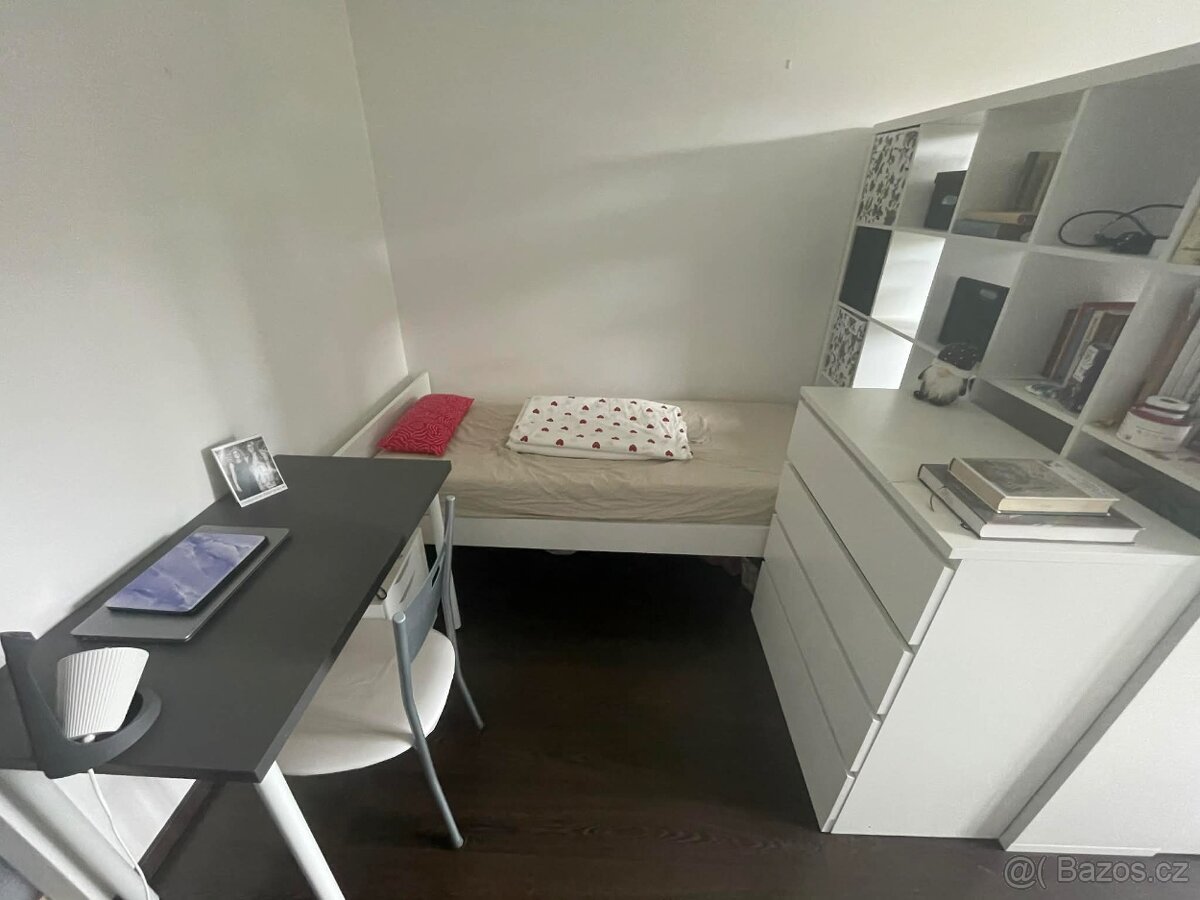 Spolubydlení v bytě - Brno (u Semilasso) - 2