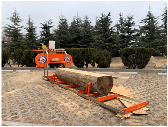 Hoby Kmenová pásová pila RS-18G - 2