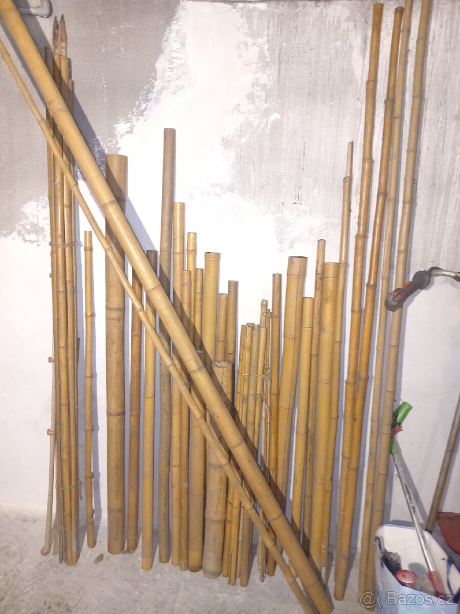 Bambus tyče mix, 1-3m, průměr 3-8cm - 2