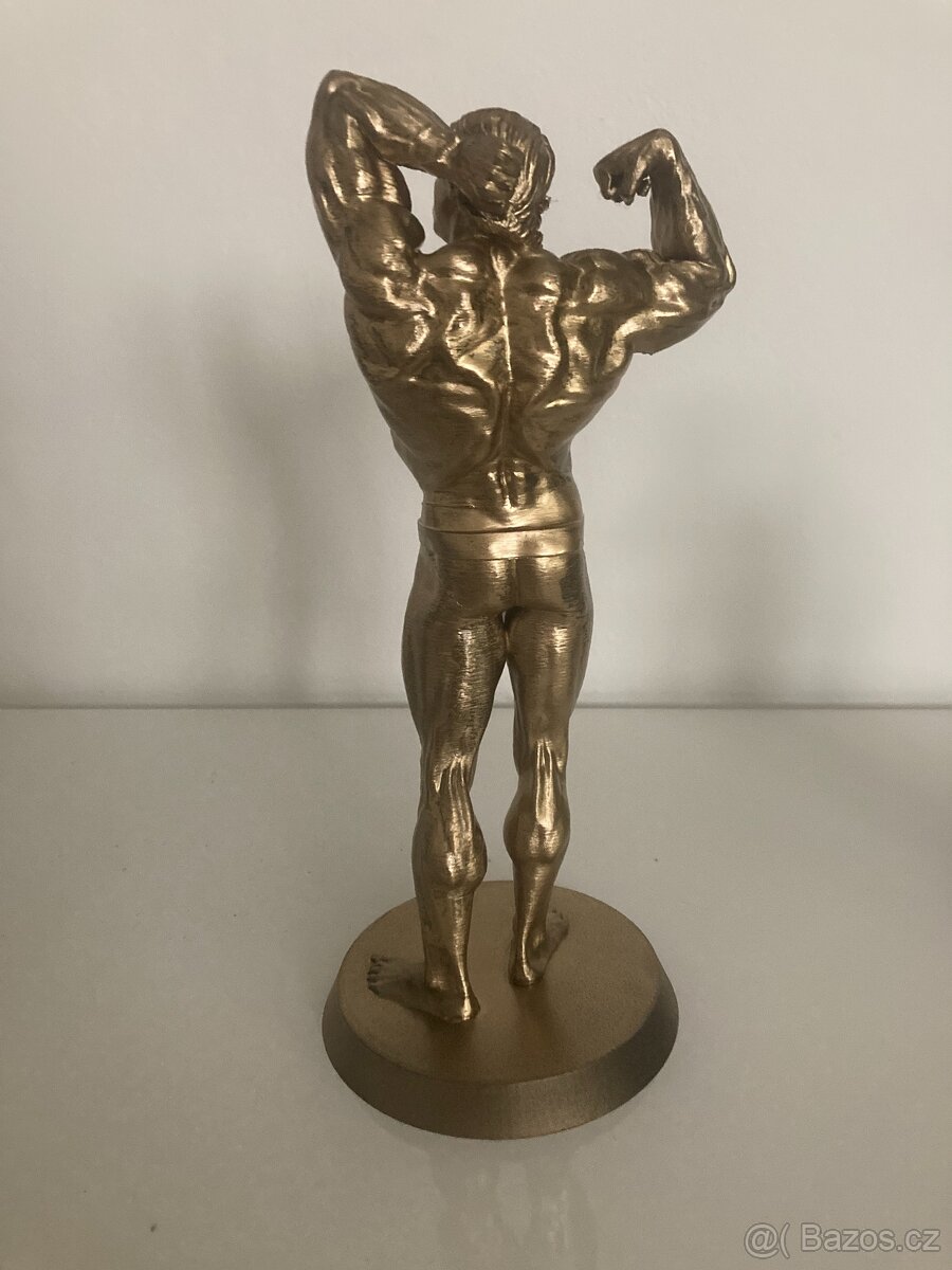Arnold Schwarzenegger - zlatá soška - 2