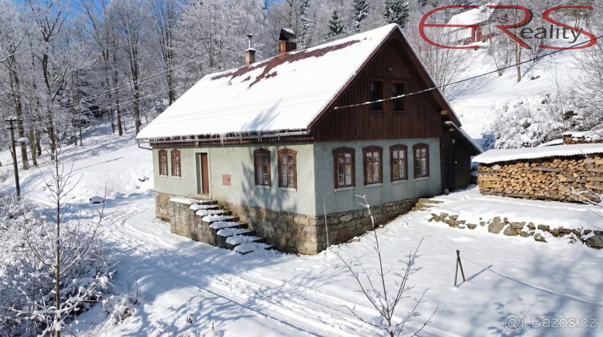 Horský penzion - 200 m², Desná I, ev.č. 00612 - 2