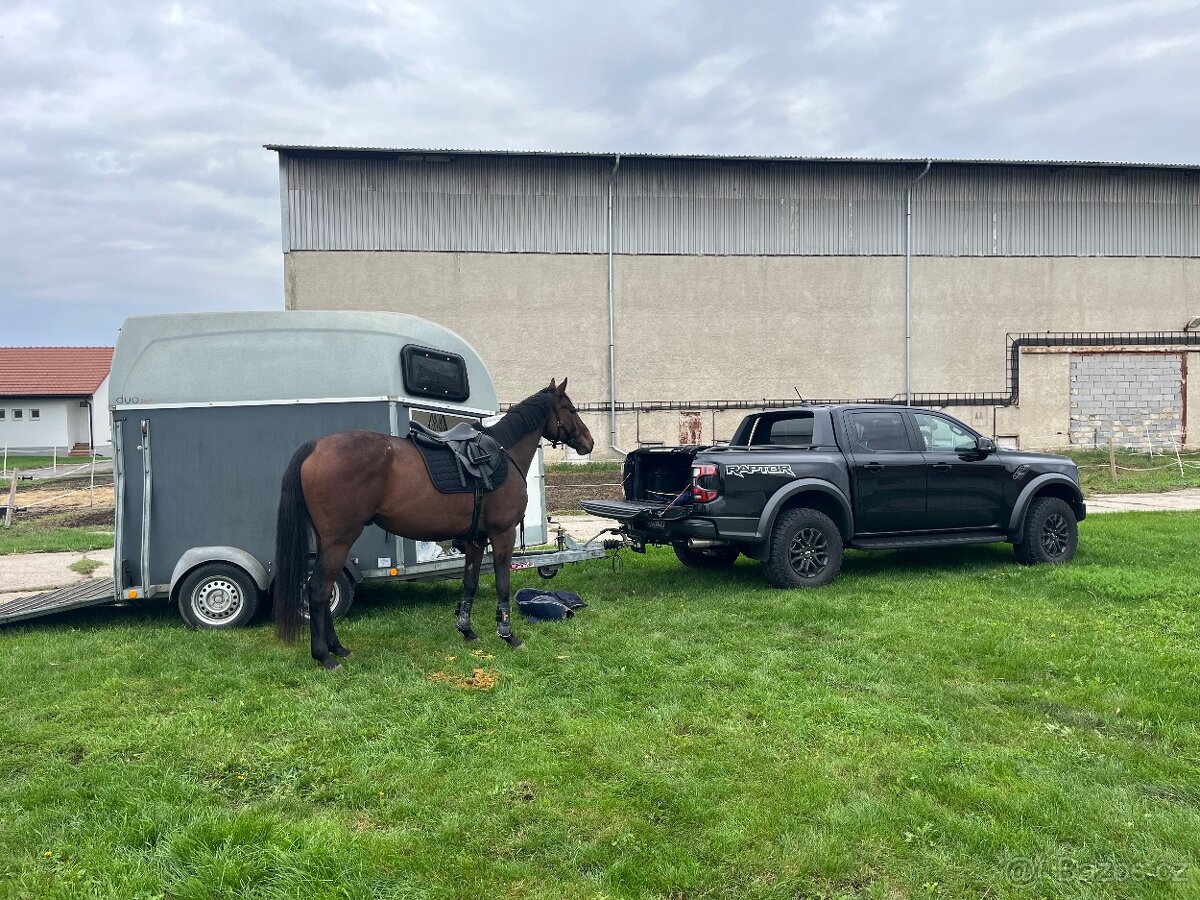 Nabízím k pronájmu - 2