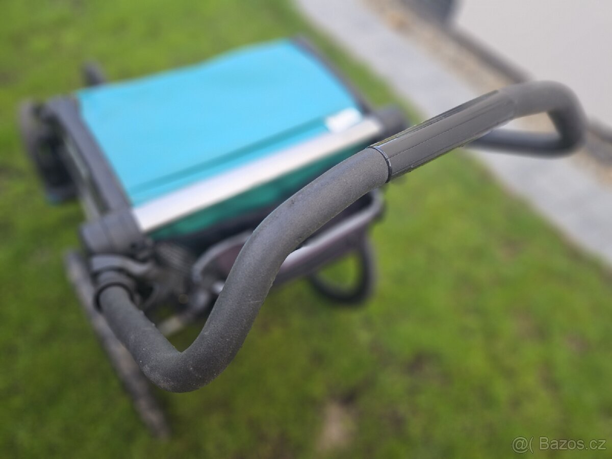 Thule Chariot - 2