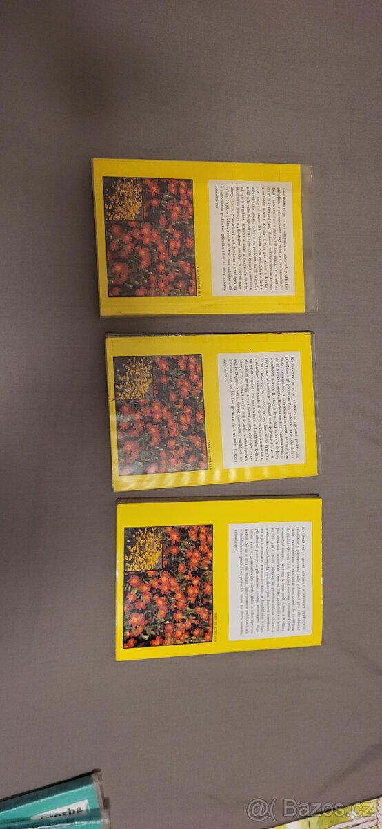 Květinářství Vít a kolektiv - 2