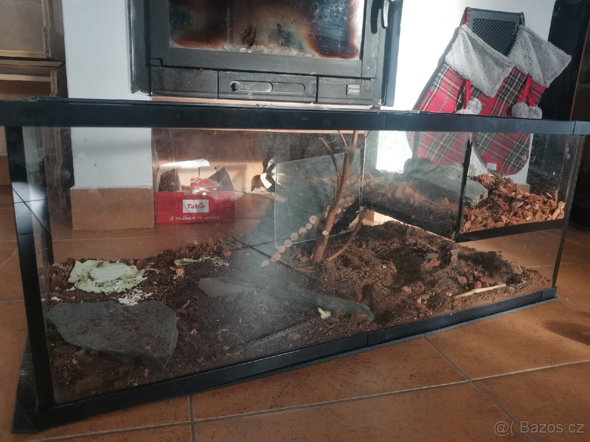 Terárium / akvárium / želvárium - 2