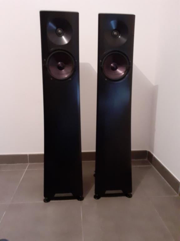 YG Acoustics Carmel 2 8000EUR - 2