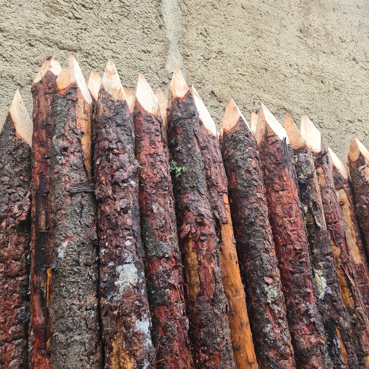 Kůly na oplocení - modřín - 2