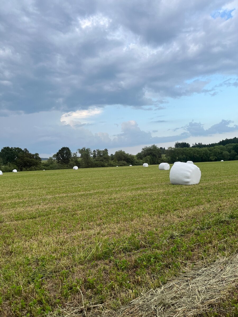 Senáž na prodej - 2