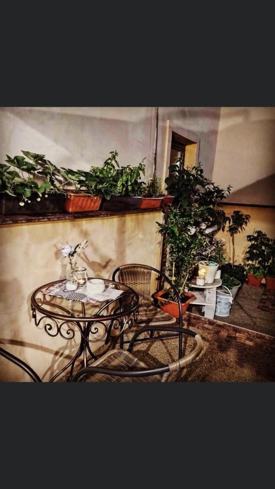 Truhluiky aj na zahradku - 2