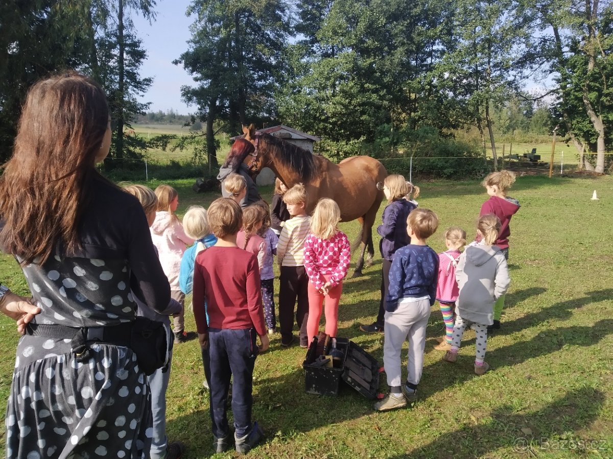 Den u koní pro školy a školky - 2
