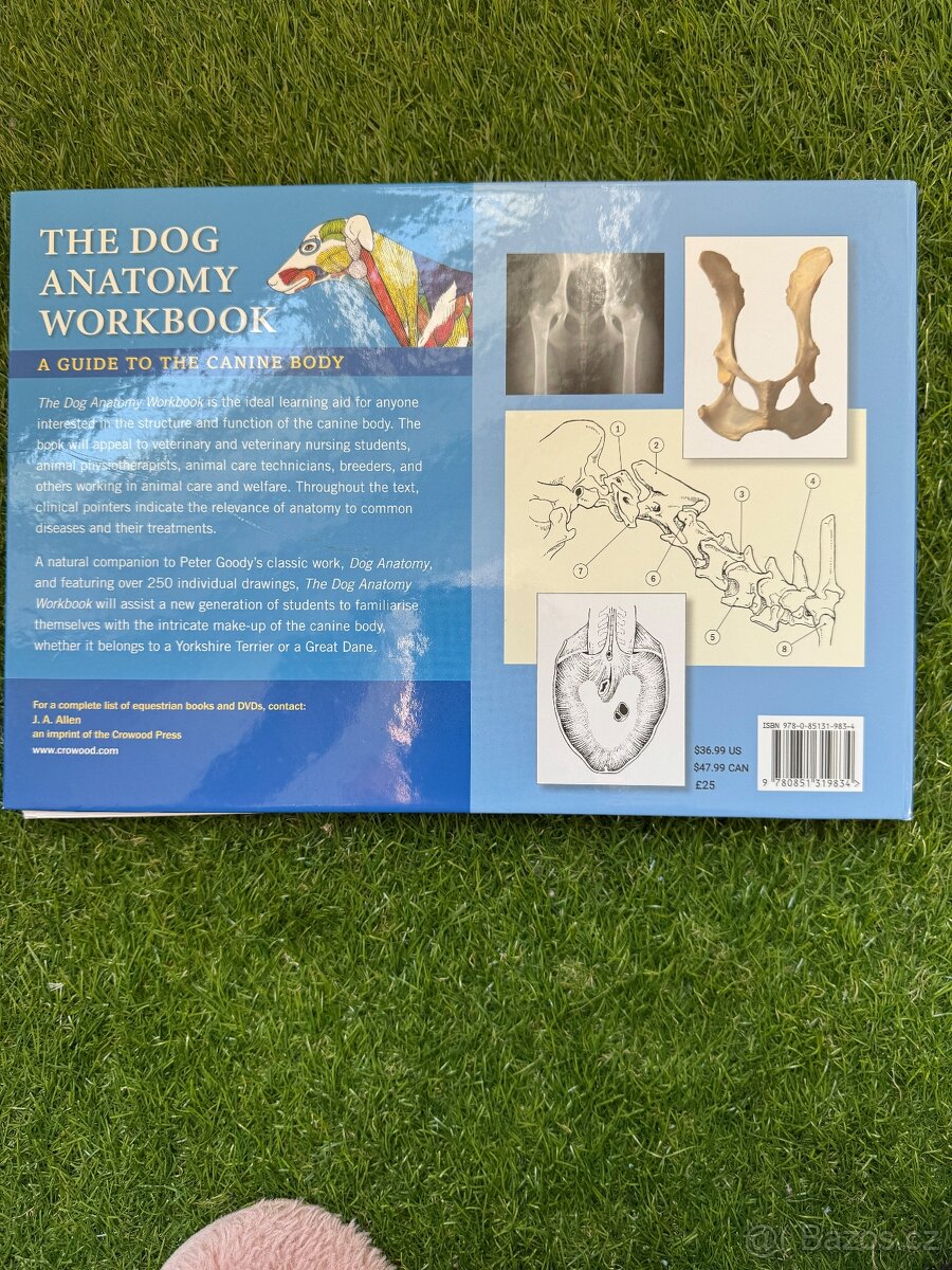 The Dog Anatomy Workbook – Andrew Gardiner - 2