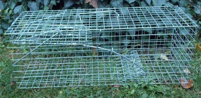 Past na malé potkany - 2