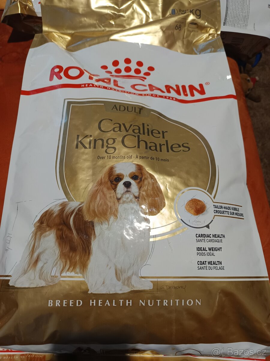 Royal Canin Cavalier - 2