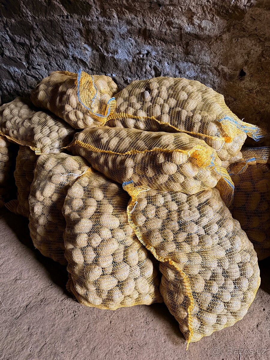 Sadbové brambory odrůdy Marabel - 2