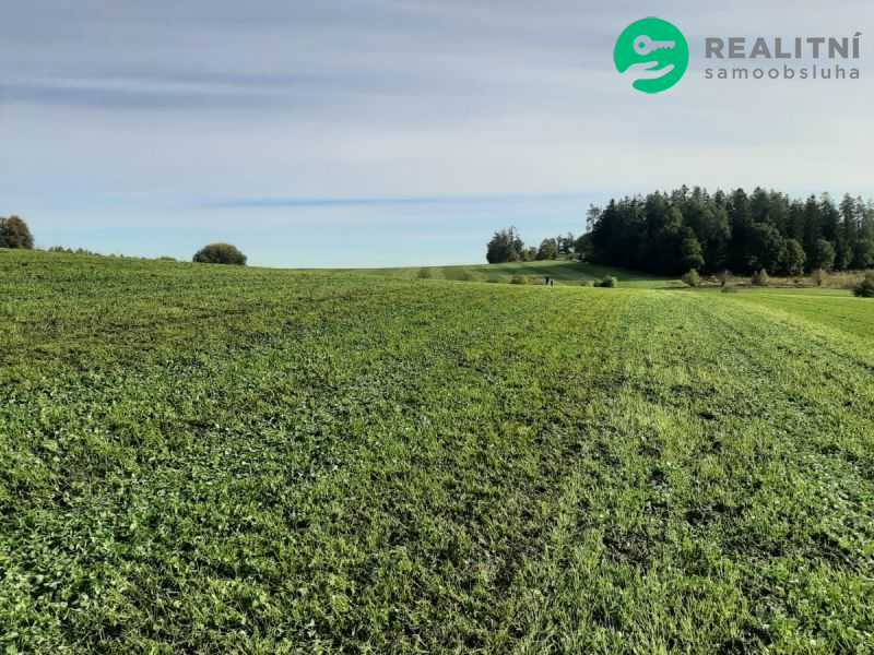 Prodej pole 12039 m² Postupice - Buchov - 2