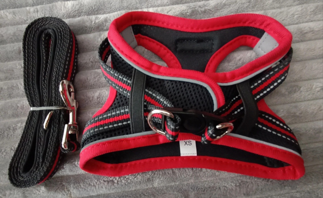 NOVÝ POSTROJ+VODITKO - 2