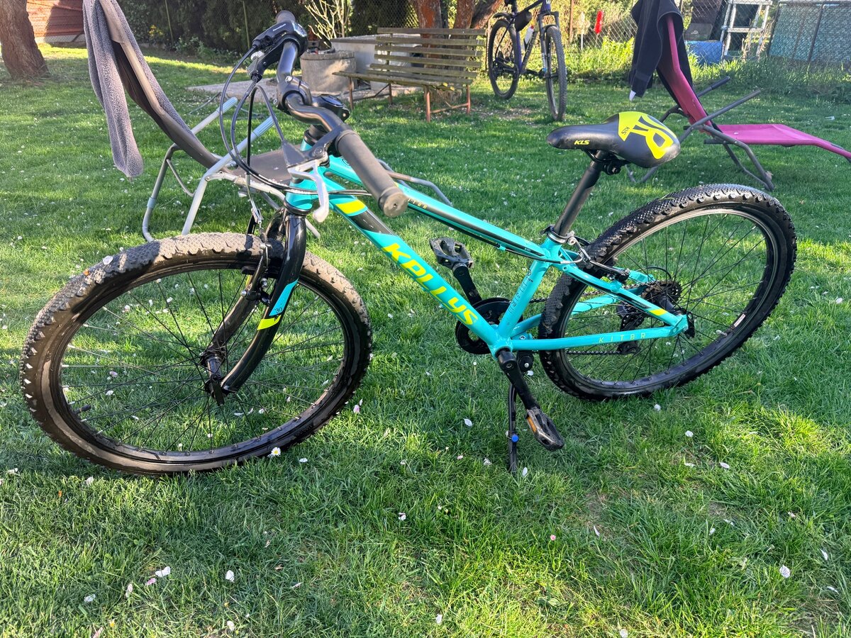 Kellys Kitter K30 24” - 2