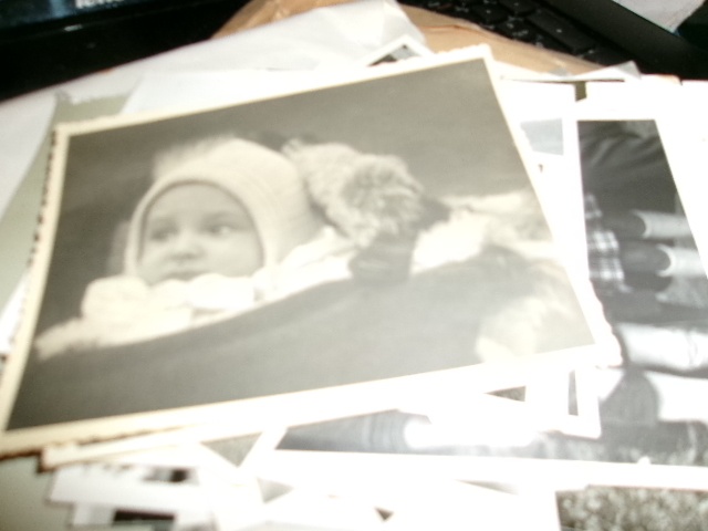 pro sberatele - fotografie - 2