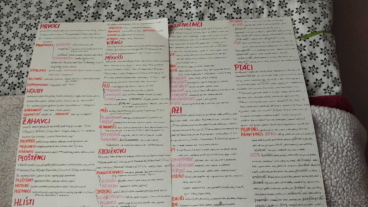 Biologie maturitní otázky živočišné říše - 2