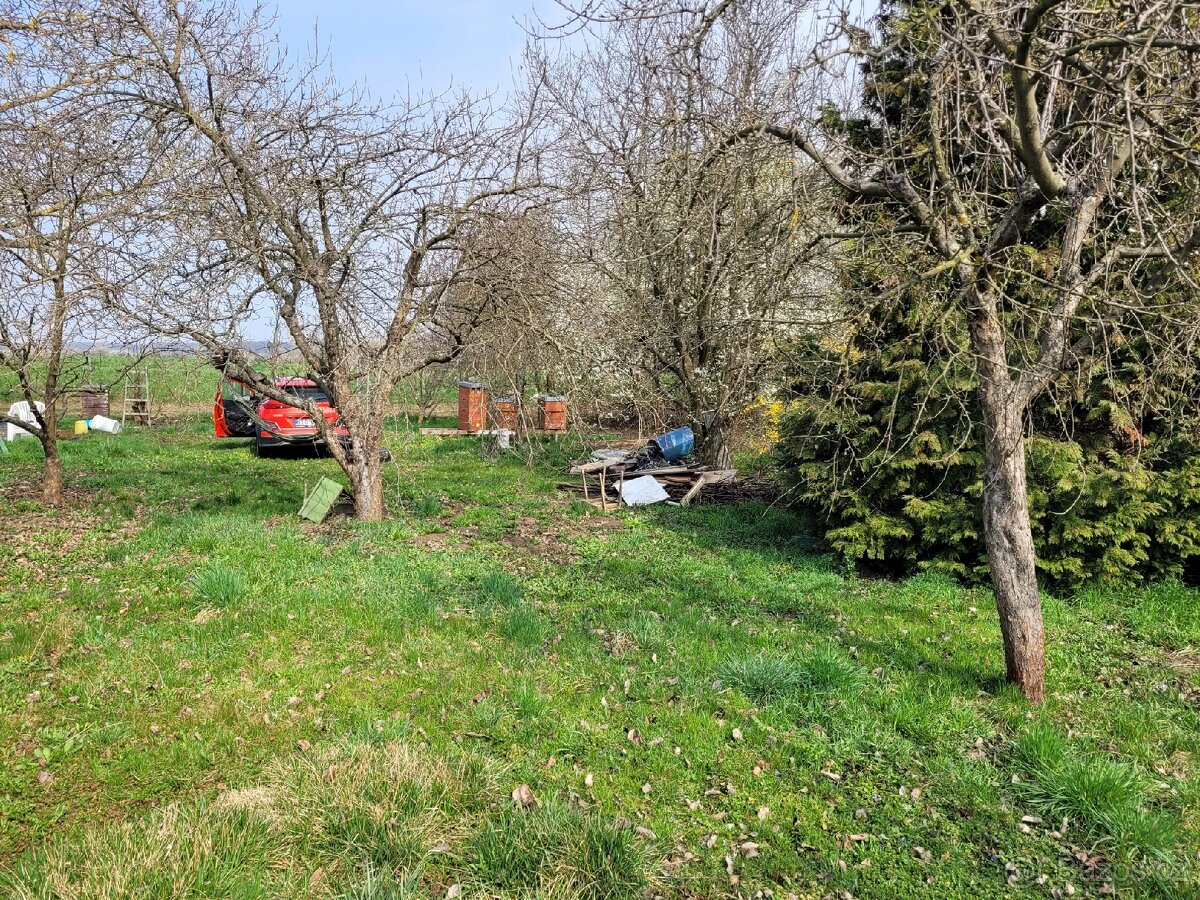 Zahrada s chatkou v Bezměrově - 2