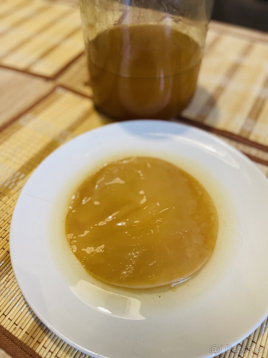 JUN Kombucha do zeleného čaje - 2