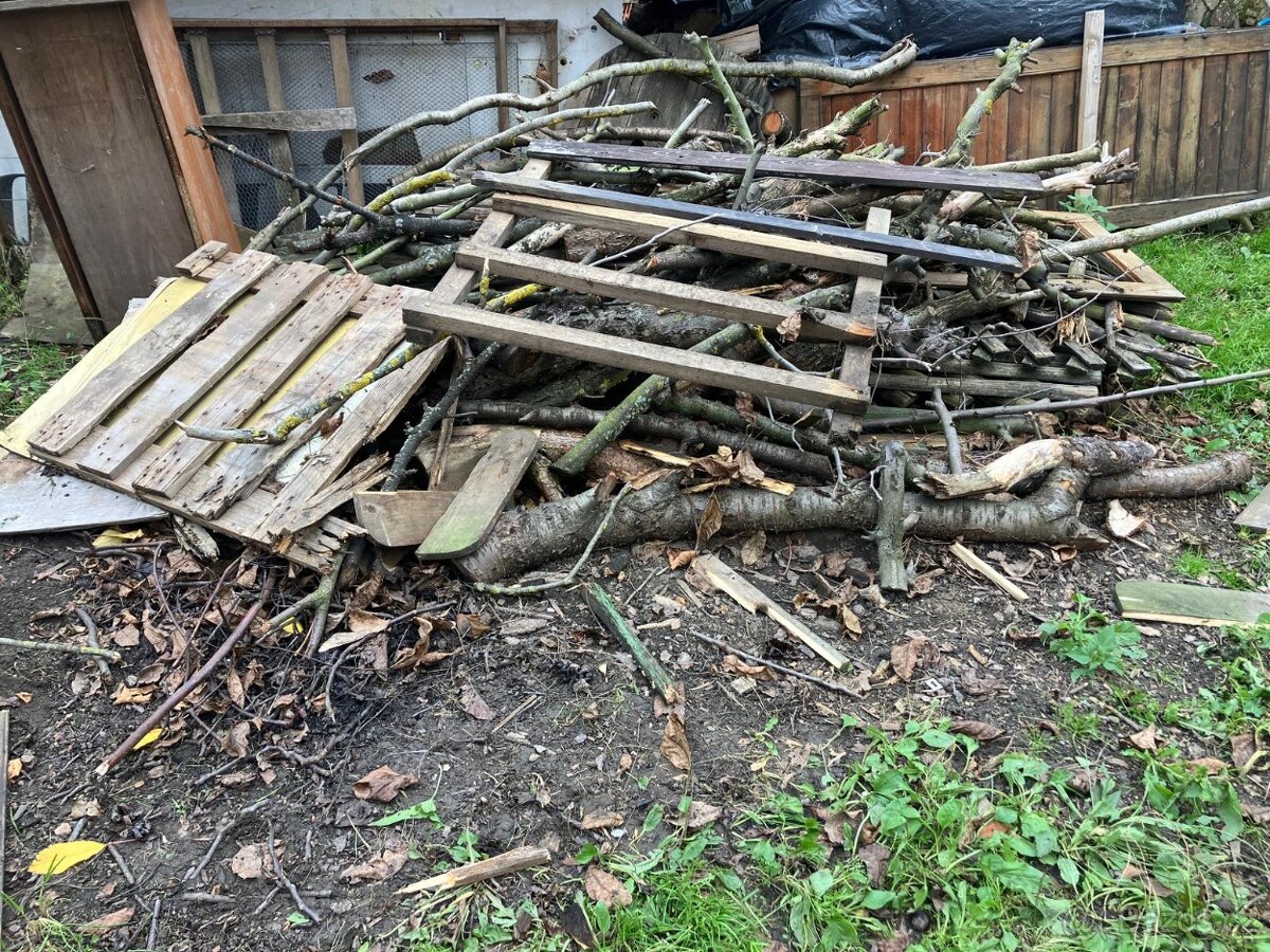 Zdarma za odvoz dřevo - 2