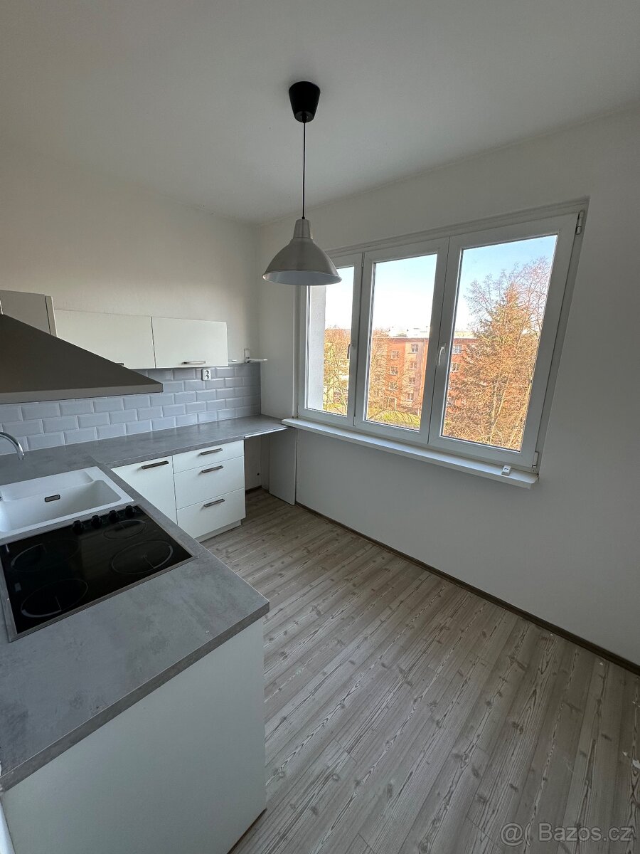 Pronájem bytu - Nová Role 2+1, ul. Krátká - 2