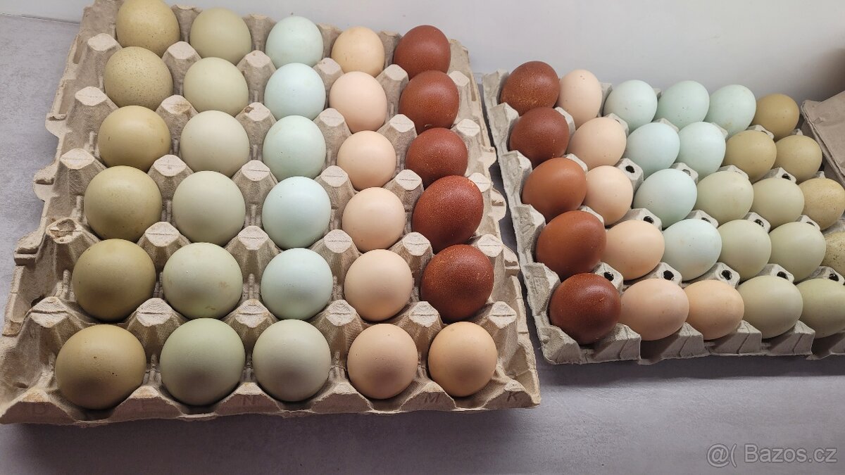 Násadová vejce - barevná - 2
