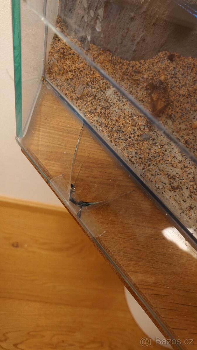 Terárium - chameleon - 2